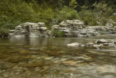 Su kattiuratosunun hareketli uzun pozlu bir dağ deresi manzarası.