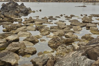 Taşlar ve hangi onlar kıyıda daldırılır Denizi'nin sularına yansıyan swcogli.