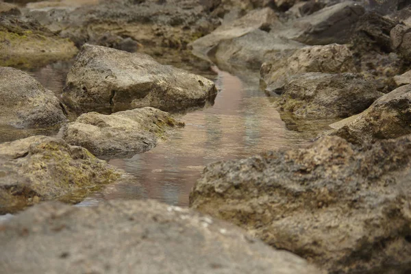 Sommige Rotsen Weerspiegeld Het Water Van Kust Overdag — Stockfoto