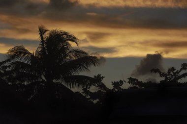 Palmiye ağaçlarının silueti Meksika 'daki Xpu-Ha plajında muhteşem bir günbatımının arka planına karşı..