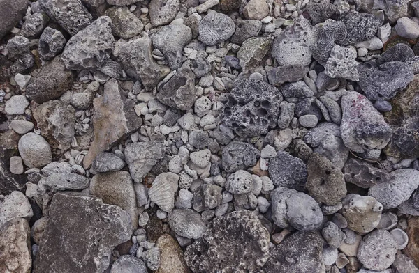 Textura Pedras Fósseis Porosas Típicas Riviera Maia México — Fotografia de Stock