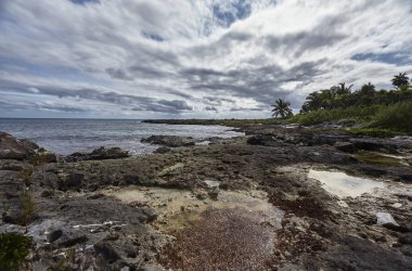 Kireçtaşı kayaları Meksika 'daki Xpu-Ha plajında denizle kesişiyor.