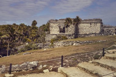 Maya binalarının kalıntıları yeşil bir çayıra gömüldü: Meksika 'daki Tulum' daki Maya kompleksinin bazı bölümlerinin görüntüsü