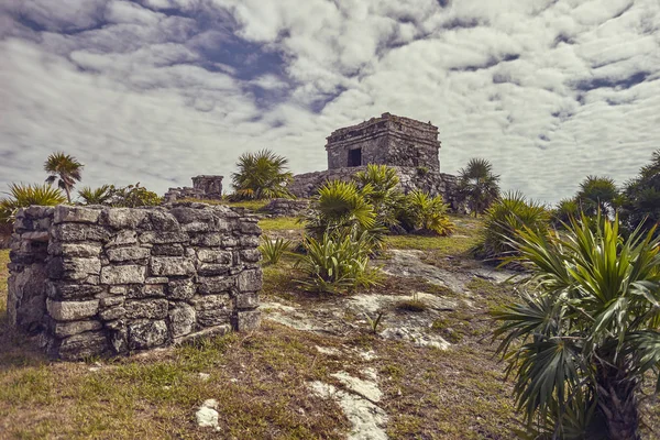 Ruinas Edificios Mayas Inmersas Prado Verde Vista Algunas Partes Del —  Fotos de Stock