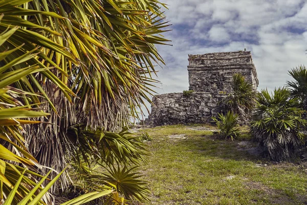 Ruinas Edificios Mayas Inmersas Prado Verde Vista Algunas Partes Del —  Fotos de Stock