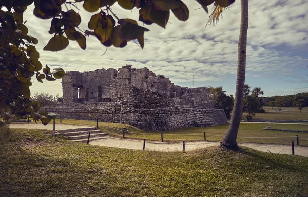 Ruinas Edificios Mayas Inmersas Prado Verde Vista Algunas Partes Del —  Fotos de Stock