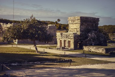 Maya binasının kalıntıları yeşil bir çayıra gömüldü: Meksika 'daki Tulum' daki Maya kompleksinin bazı bölümlerinin görüntüsü