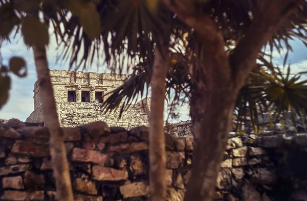 Detail Van Top Van Het Fresco Palace Het Maya Tulum — Stockfoto