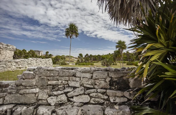 Detalle Muro Piedra Que Data Civilización Maya Las Ruinas Tulum —  Fotos de Stock