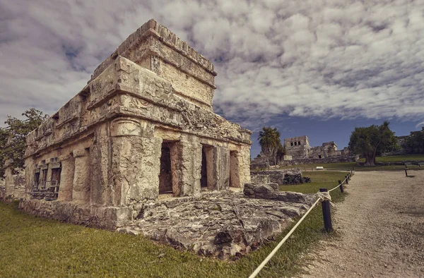 Maya Binasının Kalıntıları Yeşil Bir Çayıra Gömüldü Meksika Daki Tulum — Stok fotoğraf