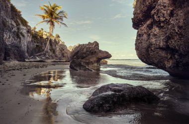 Tulum harabelerinin arkeolojik kompleksinin plajını tasvir eden güzel deniz manzarası.