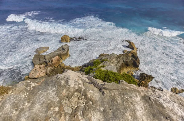 Скалы Которые Идут Морю Острове Мухерес Мексике — стоковое фото