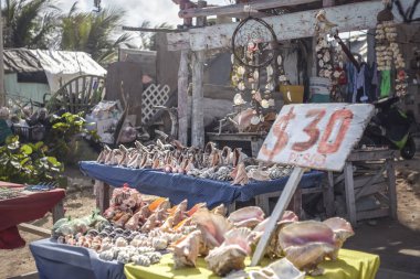 Meksika 'daki Mujeres Adası' nın en yoksul kesiminde kabuklardan ve doğal nesnelerden yapılmış hatıralarla dolu bir yer.