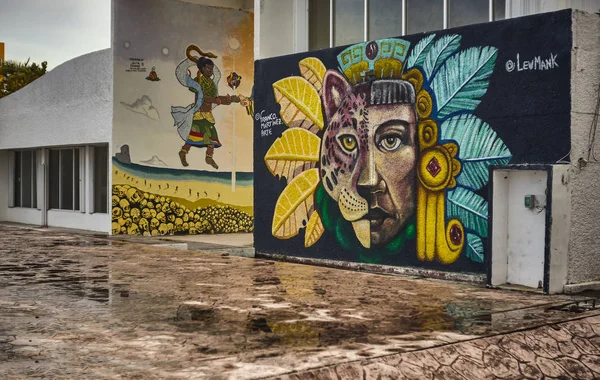 Чудові Графіті Виставлені Твори Мистецтва Будинку Ісла Мухерес Мексиці — стокове фото