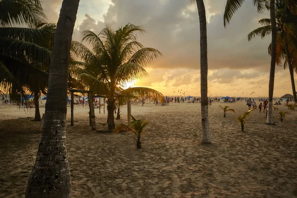 Filtrovaný Pohled Palem Pláže Isla Mujeres Při Západu Slunce — Stock fotografie