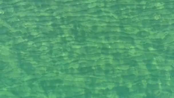 はっきりと見える下ビーチの砂とカリブ海地域の典型的な透明な海の水の動き — ストック動画