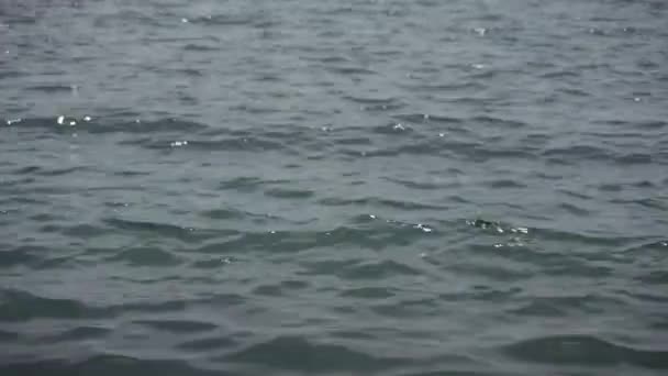 Détail Mouvement Lent Doux Des Petites Vagues Sur Mer — Video