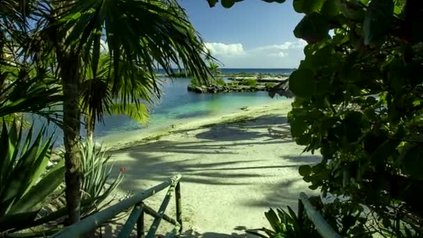 Vista Filtrada Desde Palmeras Vegetación Playa Puerto Aventuras Riviera Maya — Vídeos de Stock