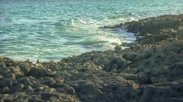 Κύματα Της Θάλασσας Της Καραϊβικής Συντριβή Πάνω Στα Βράχια Της — Αρχείο Βίντεο