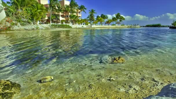 Vue Sur Front Mer Plage Puerto Aventuras Mexique — Video