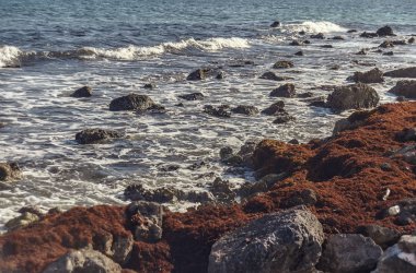 Meksika 'daki kayalık sahile vuran deniz dalgalarının ayrıntıları..