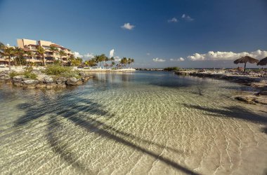 Meksika 'nın Puerto Aventuras kıyısındaki doğal bir havuzun ortasındaki Karayip Denizi' nin berrak sularının görüntüsü. Suda bir palmiye ağacının gölgesini görebilirsin..