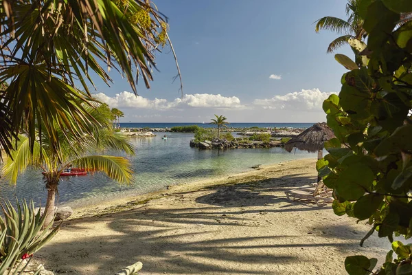 Meksika 'daki Puerto Aventuras plajının doğal bitki örtüsüyle filtrelenmiş görüntüsü.