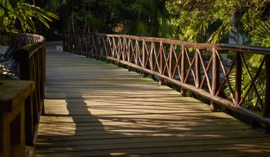 Hipotermik haçlar ahşap iskele