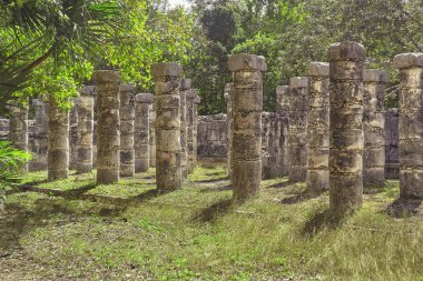 Maya sütunlar ve tropikal Vegertation #3