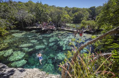 Meksika 'da Cenote Azul # 5