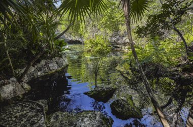 Hipotermik Azul Meksika #8