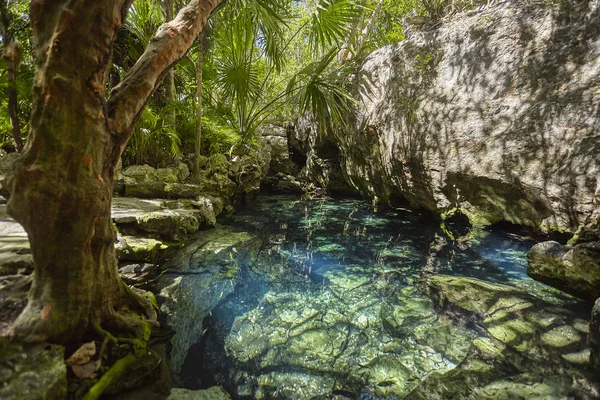 Azul Cenote Mexico — Stockfoto