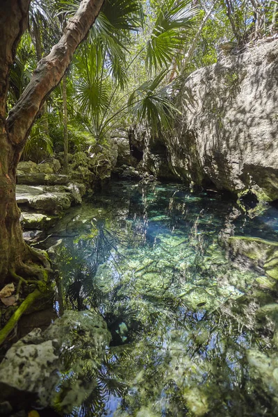 Cenote Azul Mexico — Stock Photo, Image