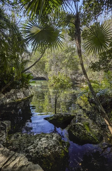 Cenote Azul Mexico — Stockfoto