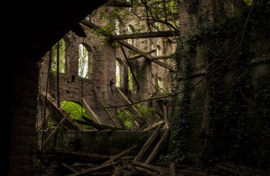 Abandoned sugar factory in Villanova Marchesana, Italy #4 clipart