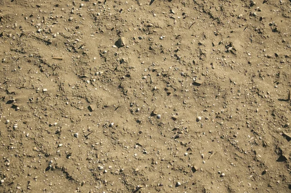 Texture della sabbia piena di conchiglie e detriti — Foto Stock