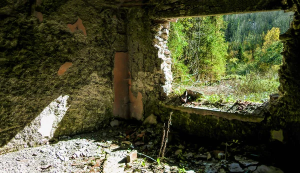 Ormanda terk edilmiş evde — Stok fotoğraf