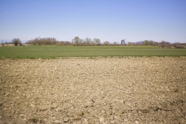 sürülmüş alanlar