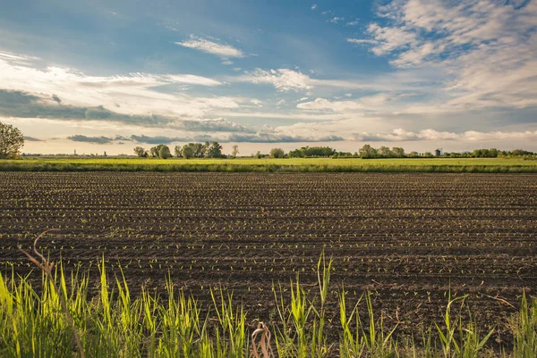 Sunset #2 altında İtalyan kırsal