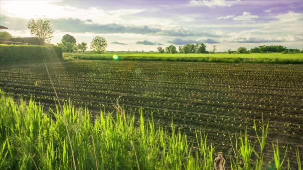 Campagne italienne sous le coucher du soleil # 2 — Video