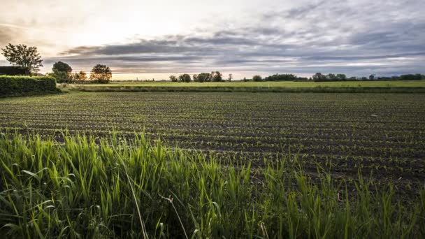 Sonnenuntergang in ländlicher Landschaft — Stockvideo