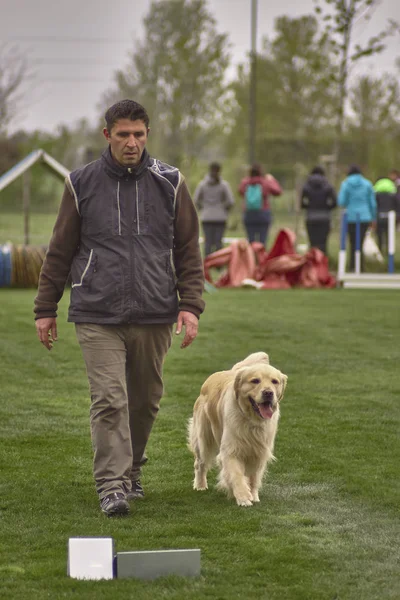 Dog trainer in a dog competition #2