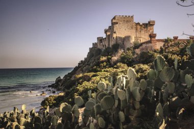 Sicilya #11'deki Falconara Kalesi