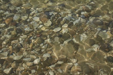 Su altındaki çakıl taşlarının dokusu #2