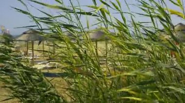 Hendek çim rüzgar tarafından taşındı