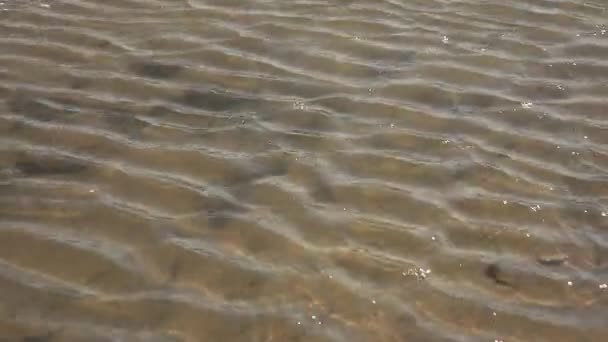Textura del movimiento del agua — Vídeo de stock