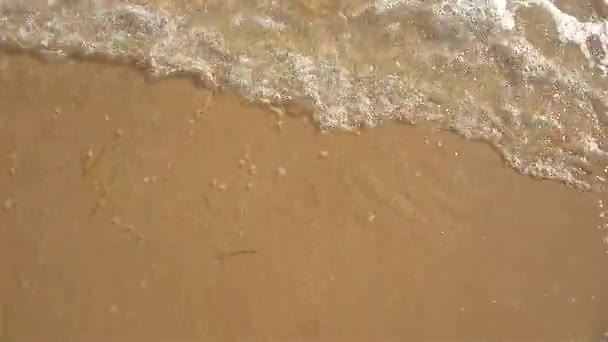 夏の日中の海岸線の波#3 — ストック動画