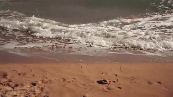 Хвилі берегової лінії в літній день No 2 — стокове відео