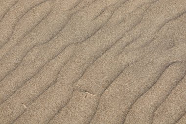 Rüzgar #8 tarafından tesviye kum dokusu