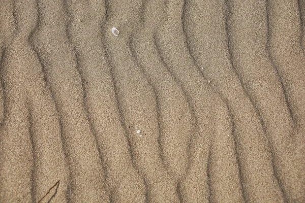 Texture of sand leveled by the wind #12 — Stock Photo, Image